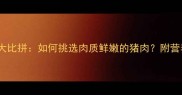 十大名猪品种大比拼如何挑选肉质鲜嫩的猪肉附营养与烹饪指南