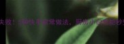 素炒面零失败5种快手家常做法厨房小白也能秒变大厨