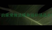 详细教程母鸡炖鸽子的家常做法暖身滋补汤品步骤与营养搭配全攻略