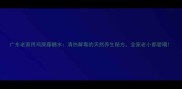广东老家用鸡屎藤糖水清热解毒的天然养生秘方全家老小都爱喝
