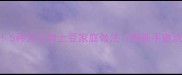 零失败5种芝士烤土豆家庭做法附新手避坑指南