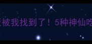 黄瓜配酱料天花板被我找到了5种神仙吃法承包你整个夏天