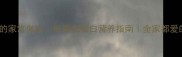 清蒸小鲳鱼的家常做法低脂高蛋白营养指南全家都爱的健康美食