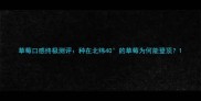 草莓口感终极测评种在北纬40的草莓为何能登顶