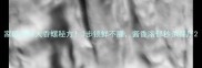 家庭香辣大香螺秘方3步锁鲜不腥酱香浓郁秒杀餐厅