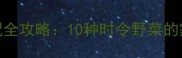 春季野菜汤营养搭配全攻略10种时令野菜的家常做法与养生指南