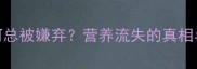 西兰花为何总被嫌弃营养流失的真相与破解之道