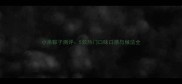 小米粽子测评5款热门口味口感与做法全