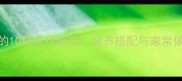 必吃的10种美味蘑菇营养搭配与家常做法全