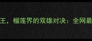 海南金枕vs猫山王榴莲界的双雄对决全网最全榴莲测评报告
