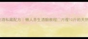 黑糯米泡酒私藏配方懒人养生酒酿教程月瘦10斤的天然代餐酒