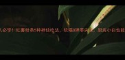 懒人必学红薯粉条5种神仙吃法软糯Q弹零失败厨房小白也能逆袭