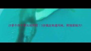 沙爹牛肉干零失败教程3步搞定地道风味附独家秘方