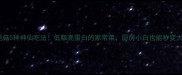 杏鲍菇5种神仙吃法低脂高蛋白的家常菜厨房小白也能秒变大厨