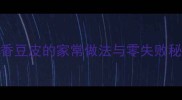 五香豆皮的家常做法与零失败秘方