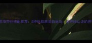 山东家常海带丝搭配推荐5种低脂高蛋白做法营养师认证的养生菜谱