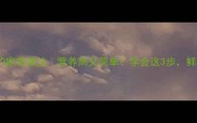 大虾炖萝卜的家常做法营养高又简单学会这3步鲜甜软糯超下饭
