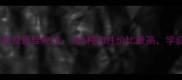 牛肉不同部位营养及最佳吃法这5种肉性价比最高学会选肉秒变大厨