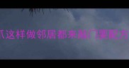 零失败秘方酱香鸡爪这样做邻居都来敲门要配方附独家卤料配比表