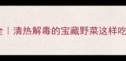 婆婆丁养生食谱大全清热解毒的宝藏野菜这样吃附10种神仙吃法