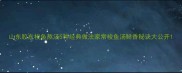山东胶东梭鱼熬汤5种经典做法家常梭鱼汤鲜香秘诀大公开