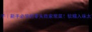 油焖茄子新手必学的零失败家常菜软糯入味太下饭