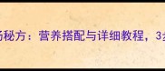 家庭经典皮蛋芥菜汤秘方营养搭配与详细教程3步做出鲜香开胃汤品