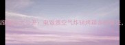 零失败家庭版腌鸡腿秘方大公开电饭煲空气炸锅烤箱多种做法软嫩多汁酱香入味