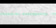 家庭食谱羊排面条低脂高蛋白做法秘制香料搭配营养均衡一学就会的家常美味