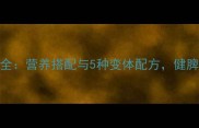 扁豆粥的家常做法大全营养搭配与5种变体配方健脾祛湿必备的黄金粥品