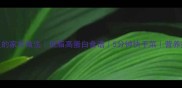 虾仁土豆的家常做法低脂高蛋白食谱5分钟快手菜营养搭配指南