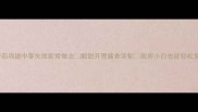 番茄鸡翅中零失败家常做法酸甜开胃酱香浓郁厨房小白也能轻松复刻