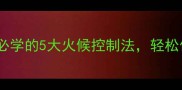 炒肉技巧大全新手必学的5大火候控制法轻松做出饭店级鲜嫩口感
