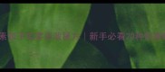 豆腐素包子馅零失败秘方新手必看20种创意搭配