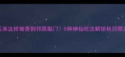 水果玉米这样做香到邻居敲门5种神仙吃法解锁秋日限定甜味