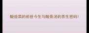 酸烩菜的前世今生与酸骨汤的养生密码