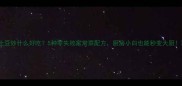 土豆炒什么好吃5种零失败家常菜配方厨房小白也能秒变大厨
