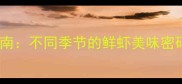 虾婆婆必吃指南不同季节的鲜虾美味密码与养生吃法