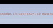 野兔肉5种经典做法北方人私藏的野兔肉秘方大公开附选购处理全攻略