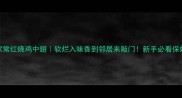 零失败家常红烧鸡中翅软烂入味香到邻居来敲门新手必看保姆级教程
