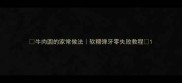 牛肉圆的家常做法软糯弹牙零失败教程
