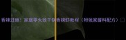 香辣过瘾家庭零失败干锅香辣虾教程附独家酱料配方