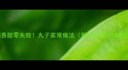 软糯香甜零失败丸子家常做法新手必看详细教程