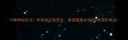 10种神仙吃法鲈鱼南北差异大家庭宴客必学的5种高阶做法