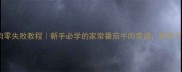 番茄炖牛肉零失败教程新手必学的家常番茄牛肉菜谱鲜香下饭超简单
