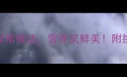 蛏子汤5种经典家常做法营养又鲜美附挑选技巧与营养