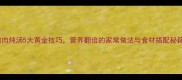 鹅肉炖汤5大黄金技巧营养翻倍的家常做法与食材搭配秘籍