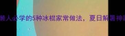 零失败懒人必学的5种冰棍家常做法夏日解暑神器轻松get