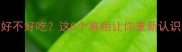 韩国泡菜到底好不好吃这5个真相让你重新认识韩式发酵食品