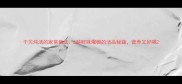 干贝炖汤的家常做法5种鲜味爆棚的汤品秘籍营养又好喝